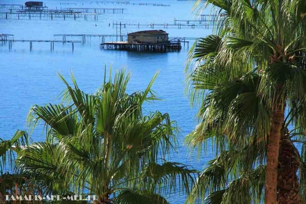 Ferienwohnung Les Pieds Dans L'Eau La Seyne-sur-Mer Exterior foto